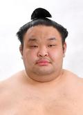 元幕内の水戸龍が引退