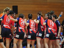 復調のアランマーレ<br />主力が戻り実力証明