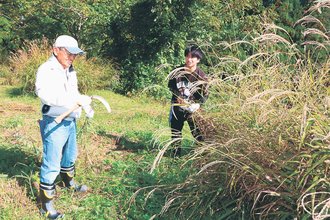 ＜合掌集落守り継ぐ～世界遺産３０周年＞（４）茅場保全<br />欠かせぬ助っ人／県内外 広がる支援