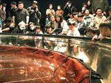 ホタルイカの発光ショーを楽しむ子どもら=ほたるいかミュージアム