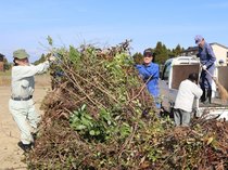 剪定枝無料回収で屋敷林保全へ　砺波でリサイクル大作戦始まる
