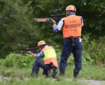 自治体職員ハンター確保を支援