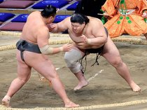 鶴英山７戦全勝、千秋楽に優勝決定戦　大相撲九州場所１３日目