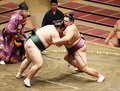 朝乃山３連勝　７月場所３日目