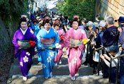 石段を上って千手寺に向かう丸まげに着物姿の女性たち＝氷見市幸町
