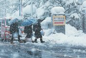 雪が降る中、試験会場に向かう受験生たち＝６日午前８時２０分ごろ、富山市向新庄町（上田友香撮影）