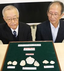 富山市八尾地域から出土の化石３種は新種　県古生物研究会、生態系知る手がかりに