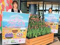 チューリップ見に来てね　入善で４月フラワーロード、ポスター完成
