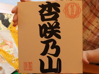 朝乃山にあやかり「<ruby>杏<rp>(</rp><rt>あ</rt><rp>)</rp></ruby><ruby>咲<rp>(</rp><rt>さ</rt><rp>)</rp></ruby><ruby>乃<rp>(</rp><rt>の</rt><rp>)</rp></ruby><ruby>山<rp>(</rp><rt>やま</rt><rp>)</rp></ruby>」も登場、射水神社で赤ちゃん相撲、過去最多200人が泣き笑い