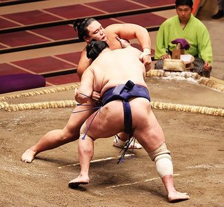 朝乃山 初白星　秋場所４日目、北勝富士を寄り倒す