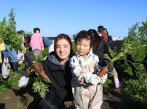 ニンジンたくさん　南砺で詰め放題イベント