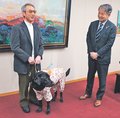 盲導犬に理解を　黒部の松原さん、武隈市長に暮らしぶり紹介