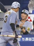 藤川監督の手腕を称賛