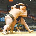 「レベルの高さ実感」　大相撲春場所、石橋（呉羽出身）５勝２敗
