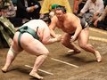頑張れ朝乃山　あるか？三役力士との対戦