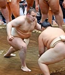 安青錦、新大関で本格始動