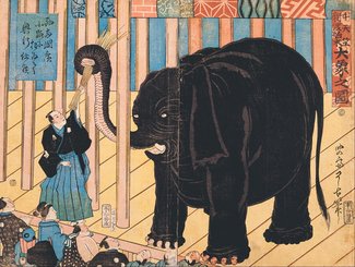 花のお江戸の動物たち（５）<br />了古「中天竺新渡舶来大象之図」１８６３（文久３）年（東京都江戸東京博物館蔵、前期展示）