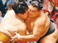 朝乃山、万全４勝目　大相撲名古屋場所６日目