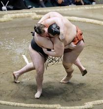 安青錦２連覇で視聴率２０％