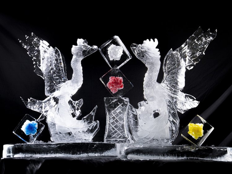 (現品)氷山　大株 南極大陸で巨大な氷山「A-76」が誕生 数日間だけ世界最大だった