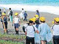ヒスイ海岸の漂着物調査　朝日・さみさと小４年、環境保全考える