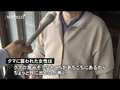 立山町にクマ、女性けが　県内２５年秋初の人身被害、ごみ捨て中に襲われる