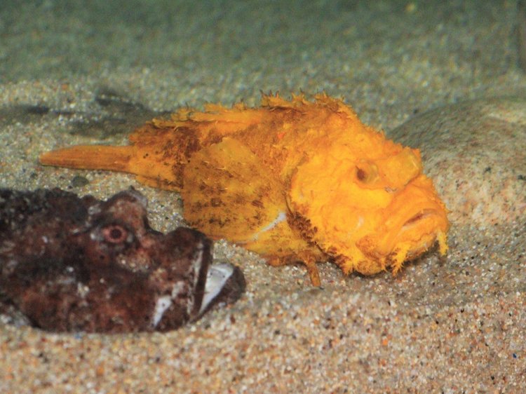 img_09b7f0f22426fcfea43c67f499