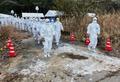 鳥インフル「殺処分後が悲惨だった」収入絶たれ出荷再開までに１年