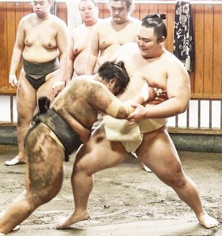 朝乃山 大関へ「チャンス」　稽古打ち上げ