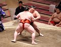 朝乃山、勝ち越しに王手　春場所１０日目
