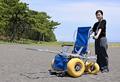 車いすで三保松原楽しんで