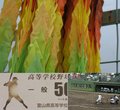 高校野球の応援に行きました。