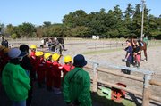 馬との触れ合いを楽しんだ体験会