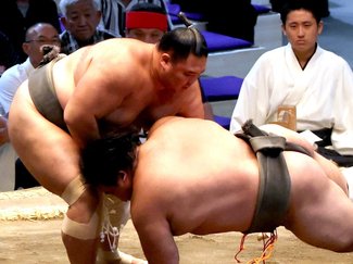 朝乃山勝ち越し 十両昇進は！？