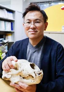 相次ぐクマ被害、飼い犬も