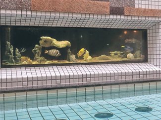 ＜サっぱり湯ったりｉｎとやま＞１５<br />島倉の湯（富山市長柄町）