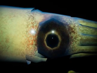 リアルさ…不気味なくらい、海をゆらゆらホタルイカ気分、記者がＶＲ体験　　　　　　　　　