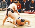 大関に初挑戦 朝乃山敗れる　九州場所１０日目