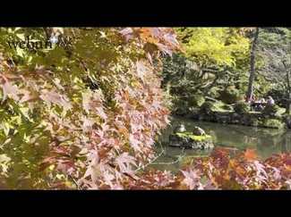 ＜とやまの紅葉２０２４＞富山・寺家公園<br />もみじのアート天覆う
