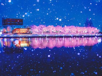 読者写真コンクール<br />２月の入選作・最終選考進出作（２０２５年）