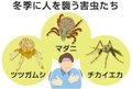 ＜ダニ博士の徒然草＞３２　五箇公一<br />冬でも寝ない害虫たち