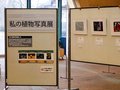 私の植物写真展