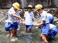 川と用水の水質を調査　高岡・中田小４年生、水辺の環境学ぶ