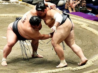 朝乃山連敗　大相撲秋場所４日目