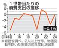 ２４年度消費支出０・１％減