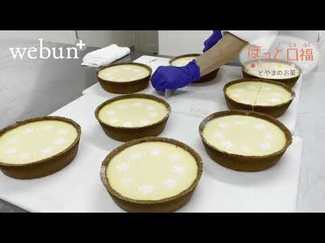 ＜ほっと口福　とやまのお菓子＞１０<br />チーズケーキ　サクラスイーツ（魚津市）