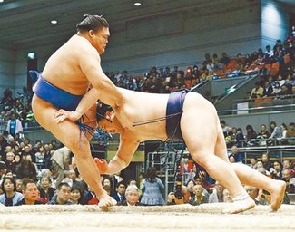 朝乃山７勝目、十両残留　きょう勝ち越し狙う