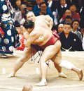 朝乃山、阿炎寄り切り５勝目　春場所８日目