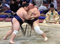 朝乃山１１勝、直接対決でトップ藤凌駕下し１差　大相撲九州場所１４日目、十両優勝に望み