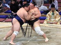 朝乃山、藤凌駕を寄り切り１１勝目「負けたくなかった」 優勝の可能性残す　大相撲九州場所１４日目